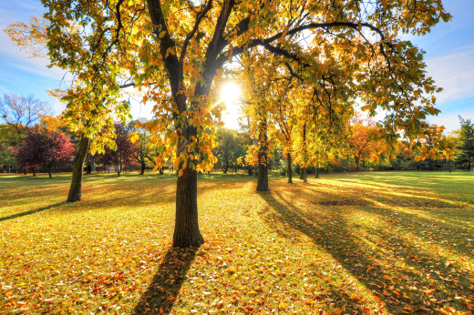 758523 (a): :2500x1660